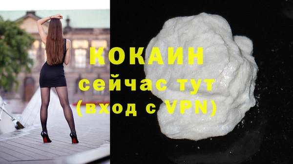 мдпв Богородск