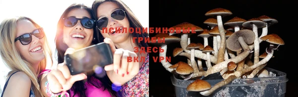 МДПВ Богородицк
