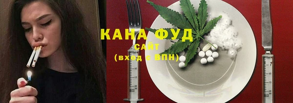 мдпв Богородск
