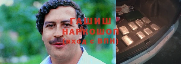 мдпв Богородск