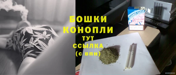 МДПВ Богородицк