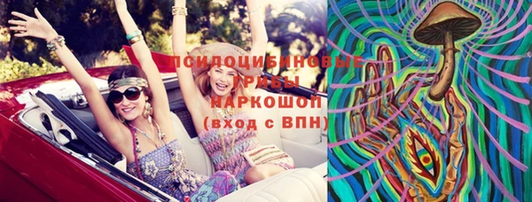 мдпв Богородск