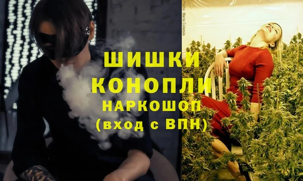 МДПВ Богородицк