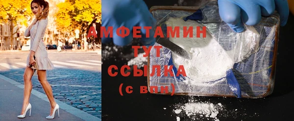 мдпв Богородск