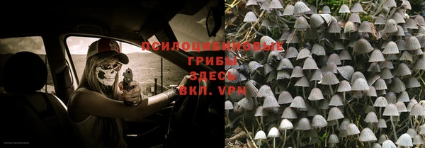 ALPHA PVP Богданович