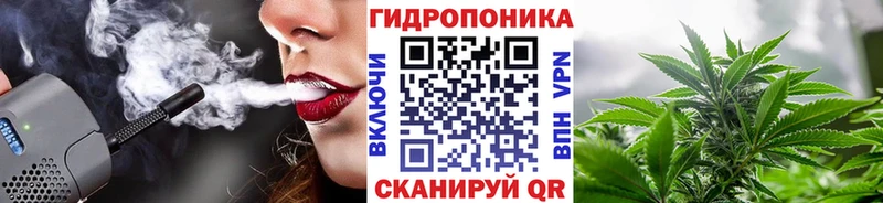 Конопля SATIVA & INDICA  наркотики  сайты даркнета клад  Михайлов 